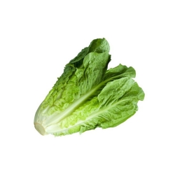 Lettuce pcs
